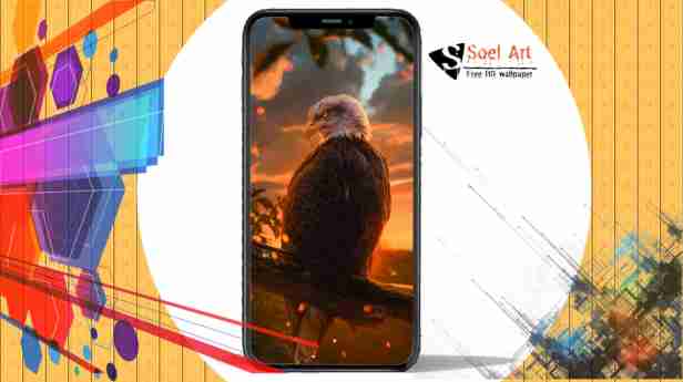 Eagle Mobile Wallpaper